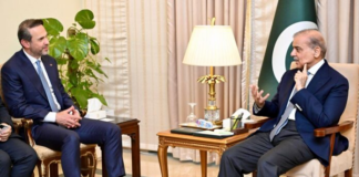 Pakistan, Turkiye agree to enhance cooperation in energy sector