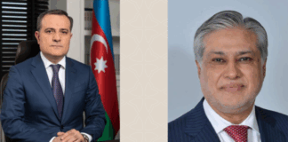 Azerbaijan FM expresses strong solidarity, support for Pakistan