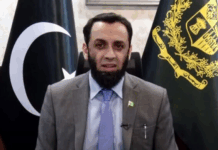 Ceasefire with India, result of diplomatic efforts of many countries: Tarar