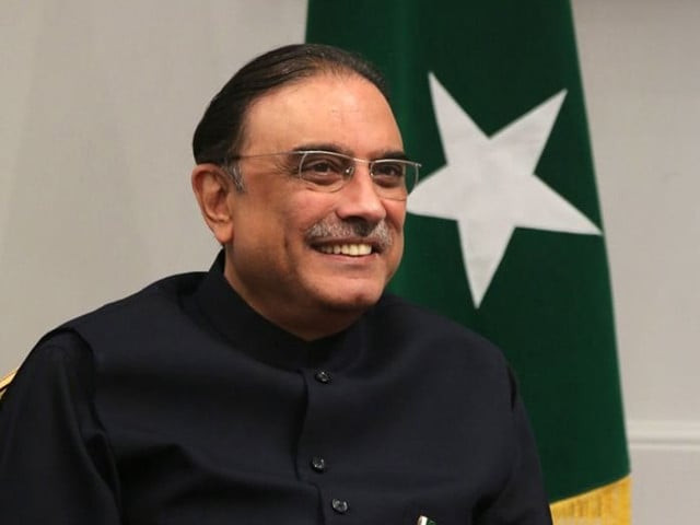 image President Zardari, AJK legislators discuss issues, development projects