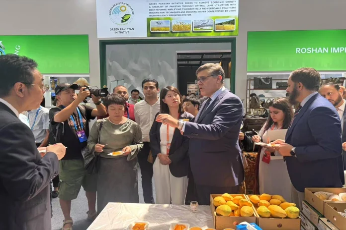 image Pakistan Pavilion Inaugurated at China-Eurasia Expo in Urumqi, with Pakistani mangoes in great demandPakistan