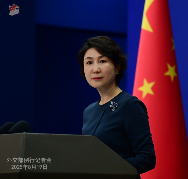Sino-Pak frequent high-level exchanges distinctive feature of bilateral ties: Mao Ning
