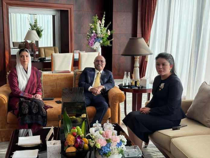 President Zardari meets Vice President of China Africa Chamber of Commerce
