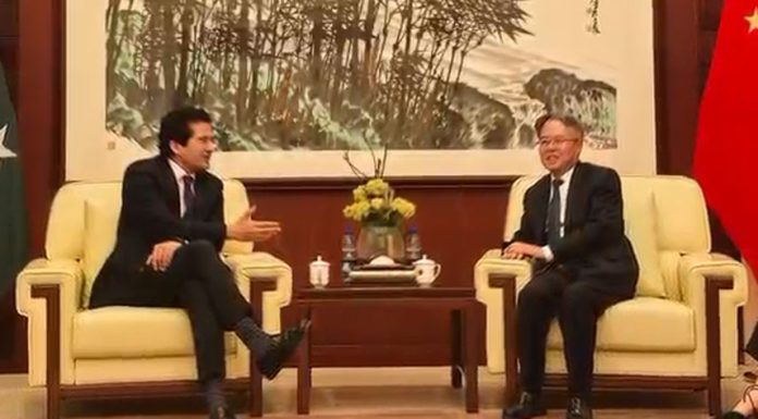 Ali Pervaiz, Jiang Zaidong discuss enhancing cooperation in energy, mineral sectors