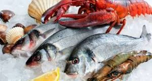Pakistan’s seafood exports to China near $255 million in 2025