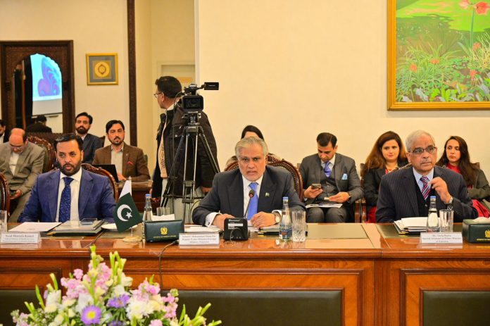 DPM Dar, Indonesian minister discuss strengthening economic, investment ties