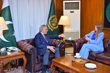 British High Commissioner calls on DPM Ishaq Dar