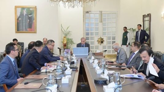 总理重申支持中国投资，并会见了代表团