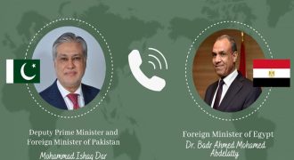 DPM, Egyptian FM discuss regional developments