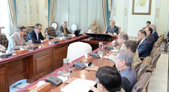 。PM directs to accelerate privatisation process of power DISCOs